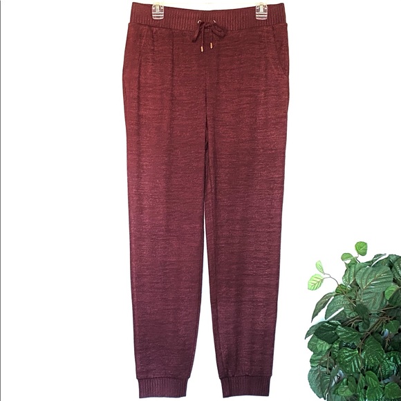 NWT Chico’s Zenergy Soft Essentials Joggers - Picture 4 of 15